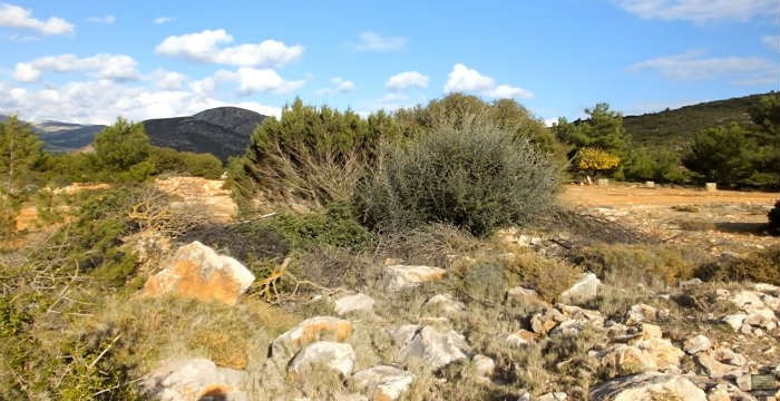 ekpliktiko-video-aorati-ellines-eleftheri-skopeftes